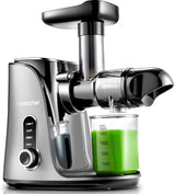 AMZCHEF Slow Masticating Juicer GM3001 Cold Press Juicer with 2 Speed for Soft/Hard Mode LED Display, 2 Travel bottles(500ML)