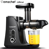 AMZCHEF Slow Masticating Juicer GM3001 Cold Press Juicer with 2 Speed for Soft/Hard Mode LED Display, 2 Travel bottles(500ML)